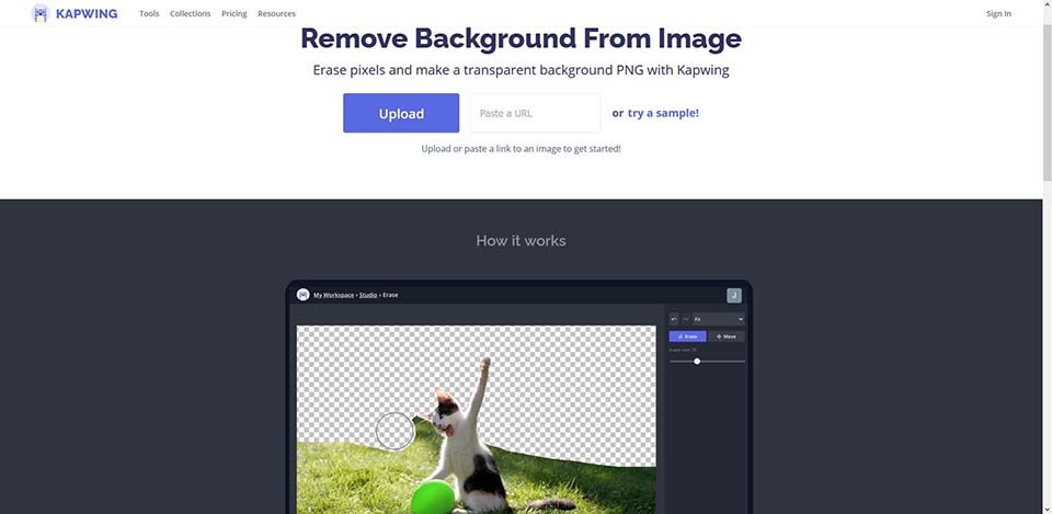 remove background online tools_kapwing