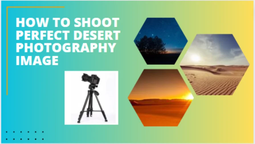 How to Shoot Perfect Desert Photography Image